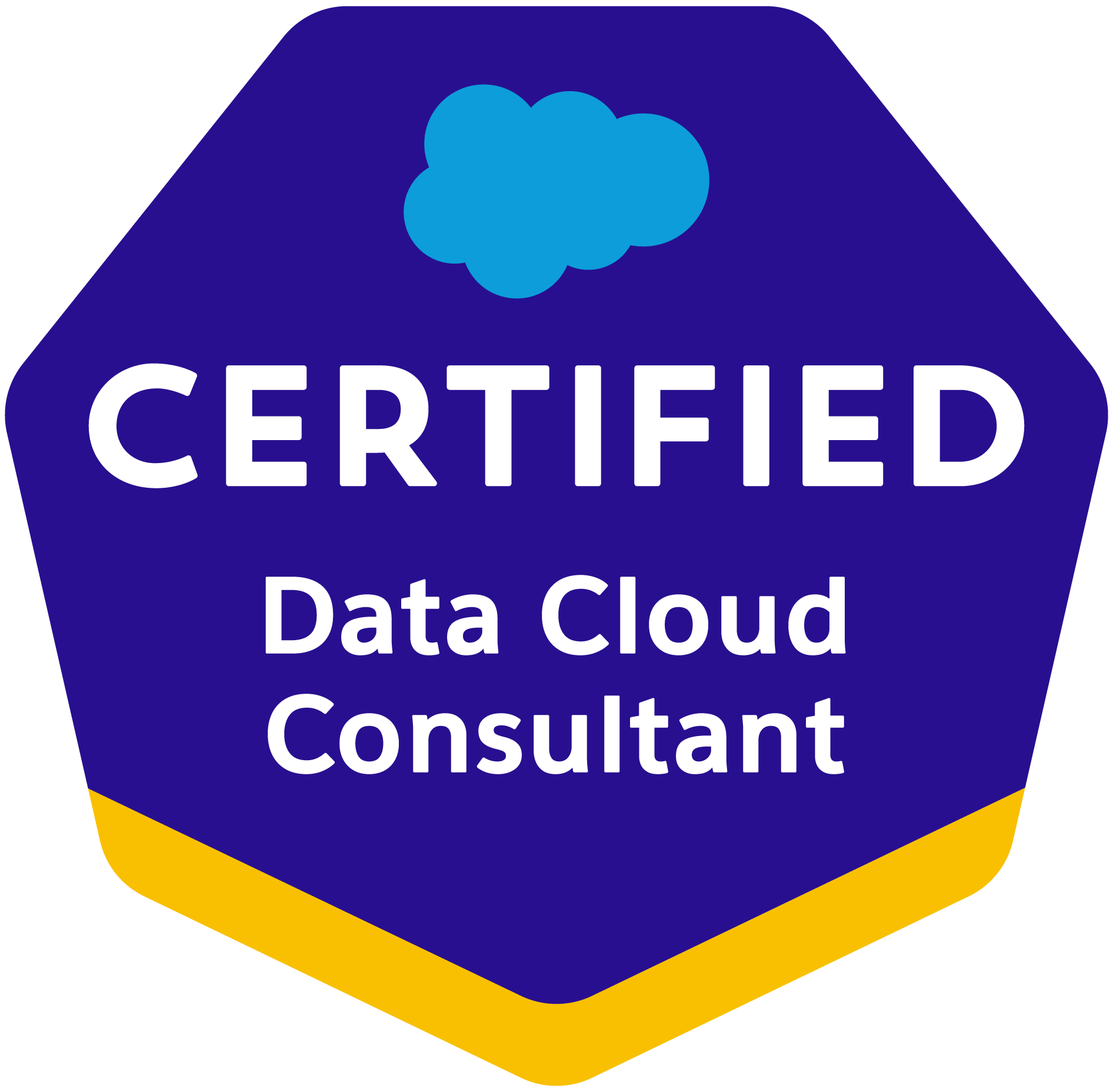 Salesforce data cloud consultant